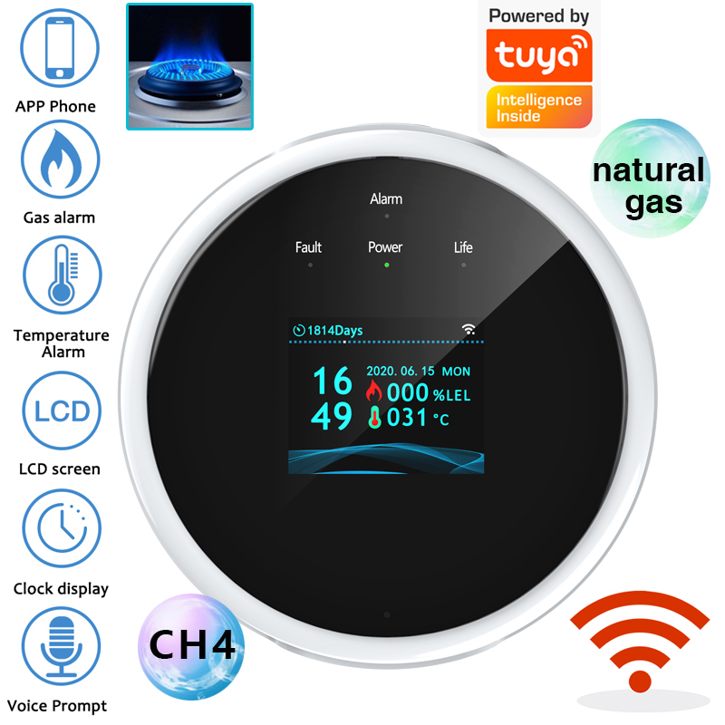 Home Security Technology - 2.4G WiFi Gas Alarm Sensor Combustible